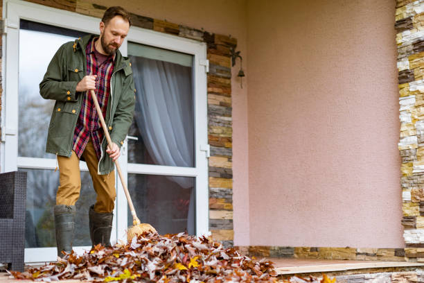 Yard Cleanup Services in Allison, IA